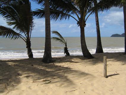 Unsere erste Bleibe
Ellie Beach ca. 15km noerdlich von Cairns