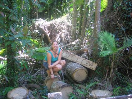 Botanischer Garten Cairns