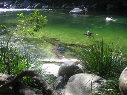 Mossman Gorge