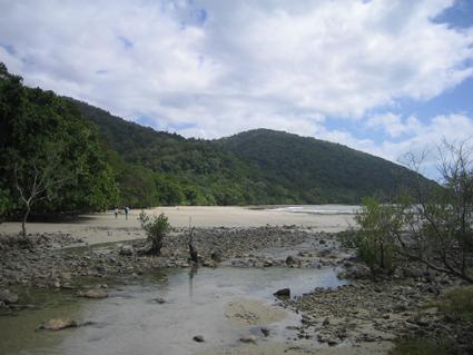 Cape Tribulation