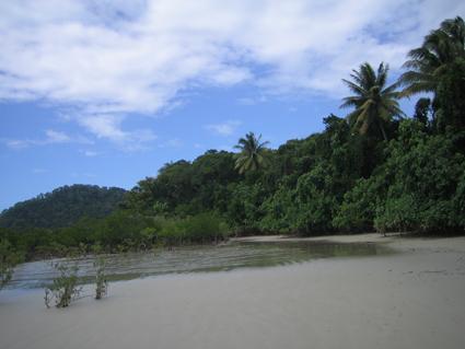 Cape Tribulation