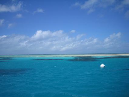 Das Great Barrier Reef