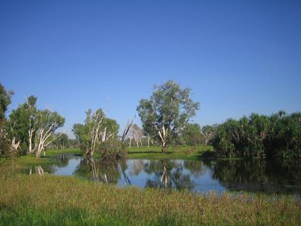 Yellow Waters
Kakadu National Park