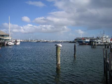 Fremantle - Fishermans Wharf