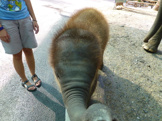 Nein Kleiner, das ist meine Kamera 