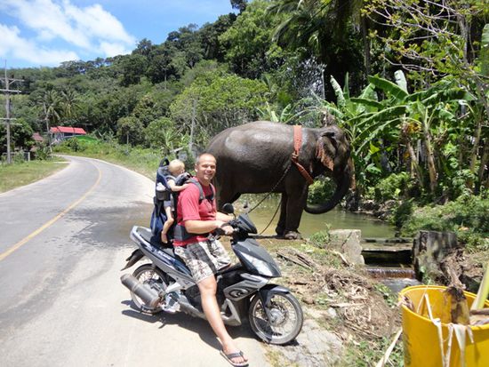 Hurra, der erste Elefant!!!