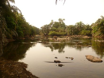 der Moa Fluss, der Tiwai Island umrundet