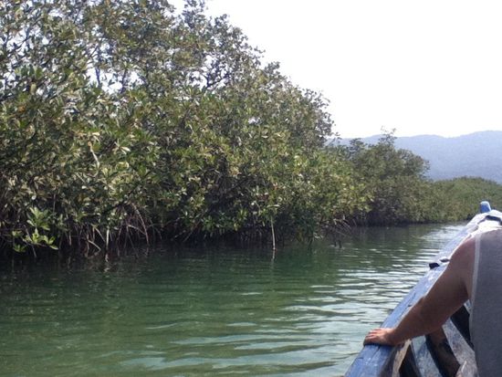 Bootstour auf River Nr.2