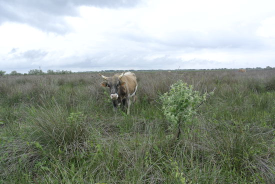 schaut etwas furchterregend drein
