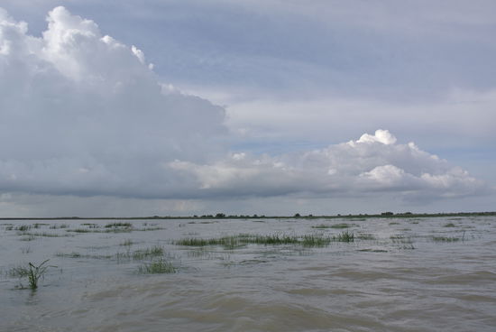 Binnensee im Donaudelta
