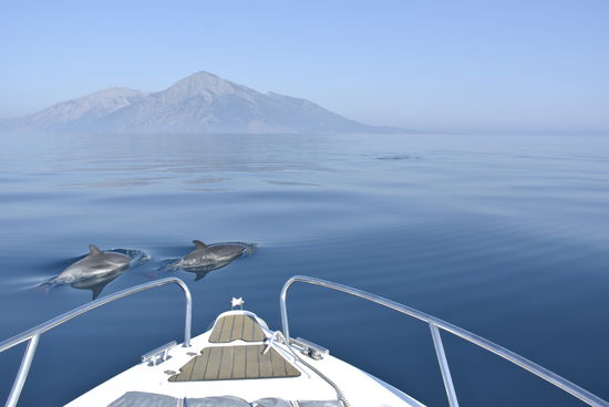 de Delphine freuen sich mit mir