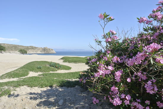 Strand - Pahia Ammos