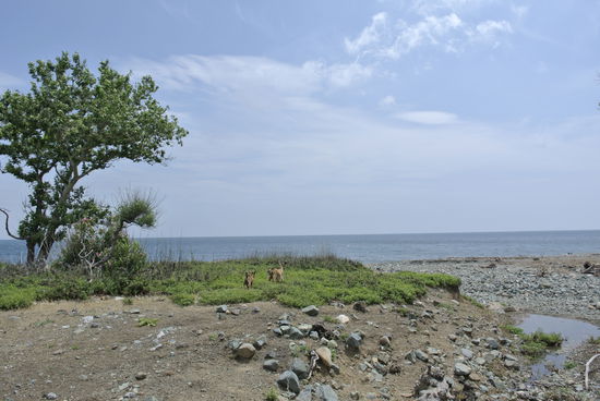 im Osten von Samothraki