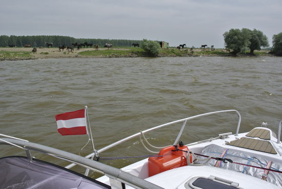 für Andrea und Susi