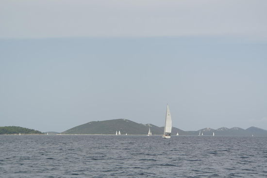 Bootsdichte wie am Neusiedlersee