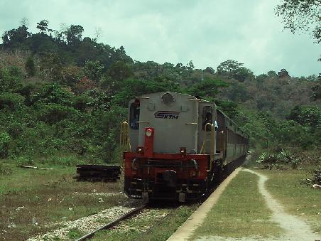 Der Djungle-Train