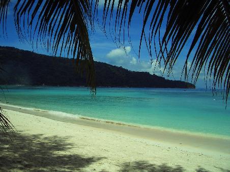 Flora Bay
