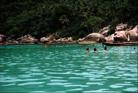 Mittagspause in der "Mango Bay"