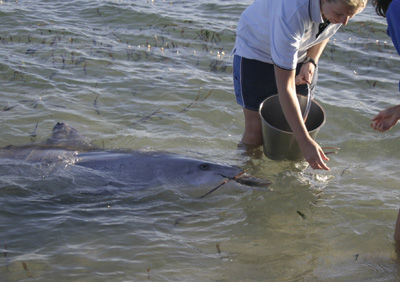 Kennt man sonst nur von der Thunfischpizza - ein Delfin.