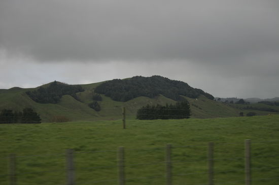Davon haben wir in den 15 Tagen SEHR viel gesehen - grüne Weiden.