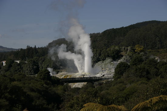 Dies ist der größe Geysir in Neuseeland. Er liegt in Taupo und es kostet 25 Dollar ihn zu besichtigen.