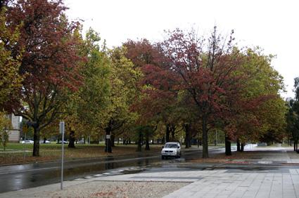 Und es soll doch tatsächlich Leute geben, die behaupten, in Canberra sei am Wochenende nichts los!