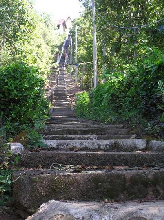 der Weg nach oben