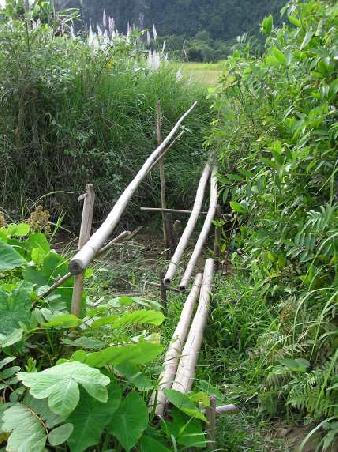 eine der groesseren "Bruecken" inmitten der Reisfelder