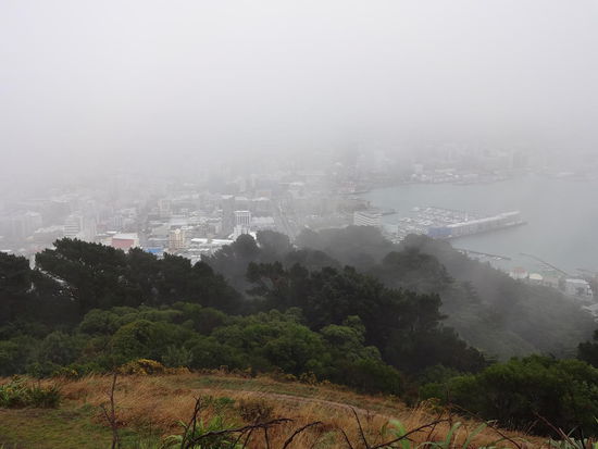 Wellington im Nebel
