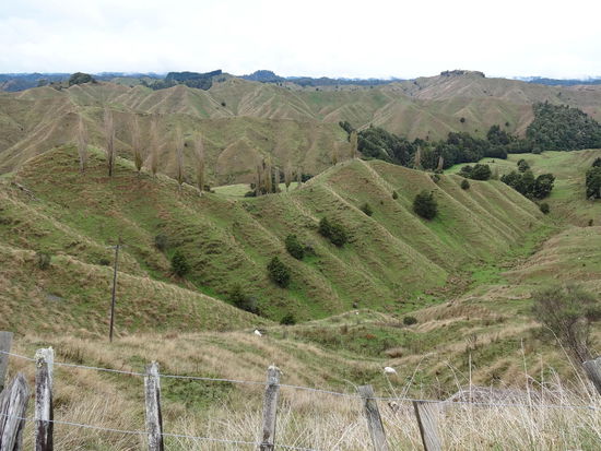 Auf dem Forgotten World Highway