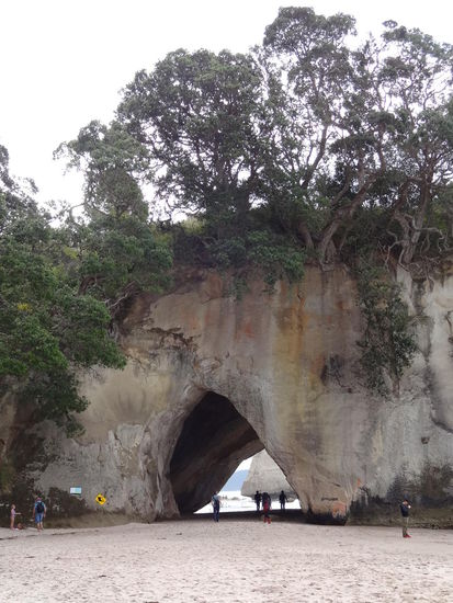 Cathedral Cove