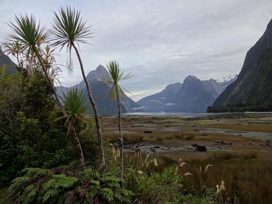 Milford Sound