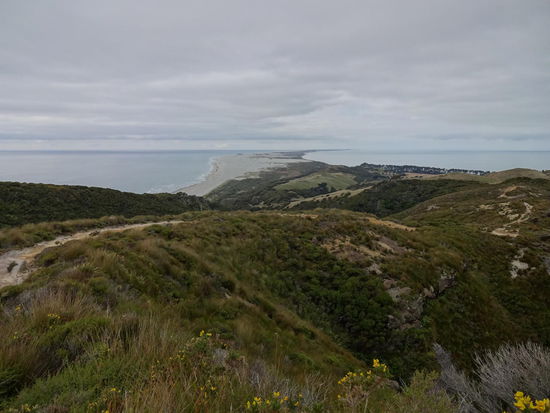 Farewell Spit im Hintergrund