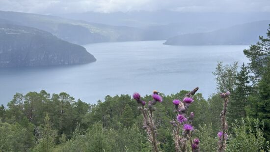 Skørbakkane Aussichtspunkt bei Utvik
