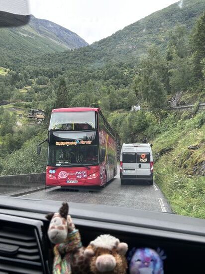 Die Aida steht in Geiranger im Hafen und die Hop on Hop off Busse zwängen sich durch die Serpentinenstraße.