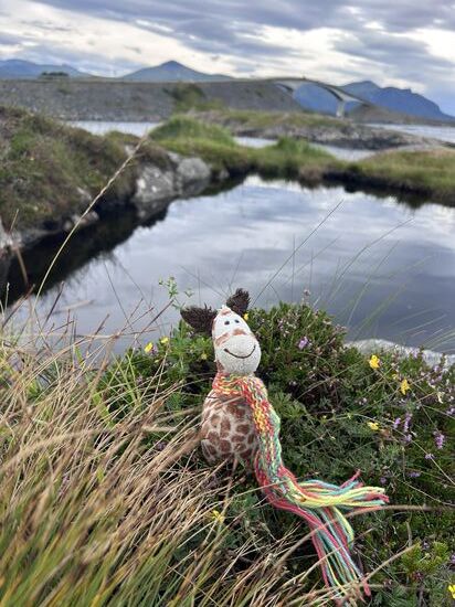 Unsere Urlaubsgiraffe Snowflake ist natürlich immer mit dabei. 
mottis_snowflake_on_tour