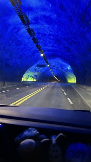 24,5 km Tunnel, beleuchtete Berghallen alle 6 km.