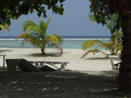 ... mit diesem tollen Ausblick aus unserem Bungalow mussten wir uns 14 Tage herumärgern ... - ... kleiner Scherz