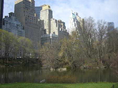 Central Park
