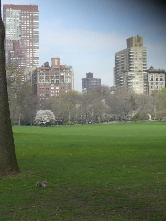 Central Park