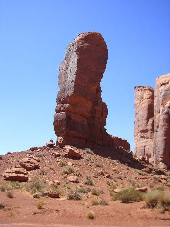 The Thumb