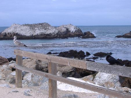 17-Mile-Drive