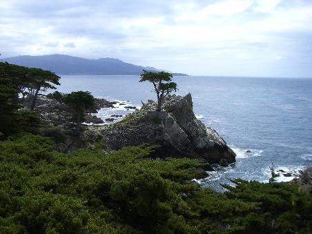 17-Mile-Drive