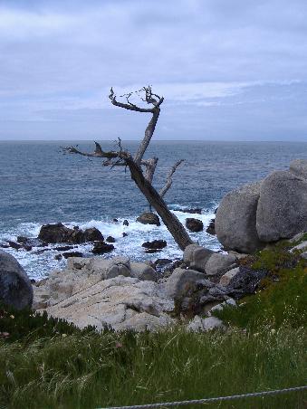 17-Mile-Drive