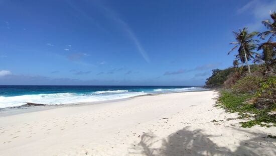 An diesen Strand kommen Meeresschildkröten zum Eier legen.