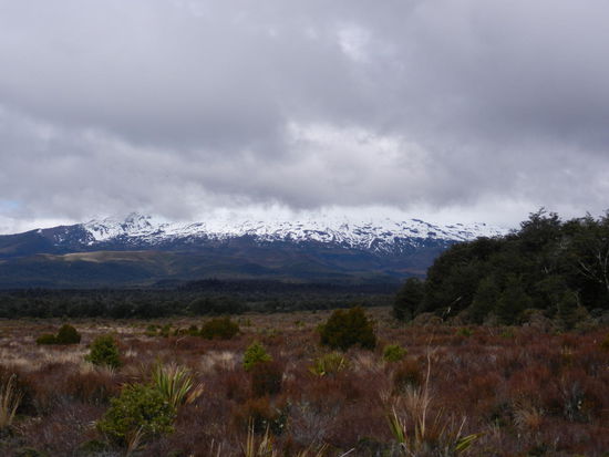Noch mit Wolken bedeckter Vulkan...sollte sich spaeter aber aendern!