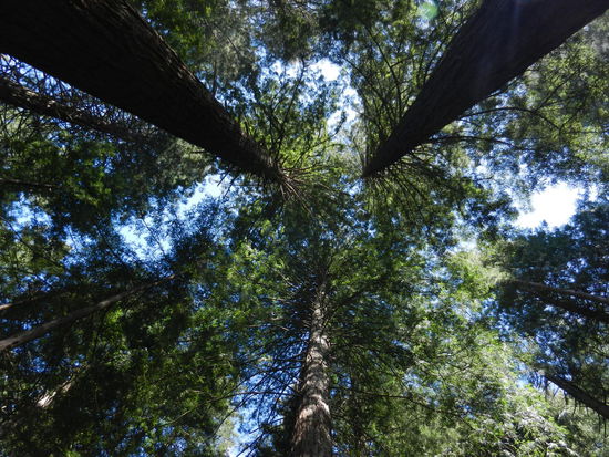 Achtung Nackenschmerzen!