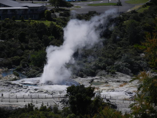 Direkt in der Stadt gibt es einen Park, wo man unter anderem den weltbekannten Geysir "Pohutu", der einmal pro Stunde bis zu 35m hoch ausbricht, bestaunen kann.