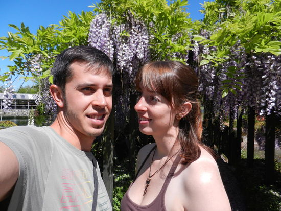 Traumhafte, bluehende Pflanzen! Die perfekte Jahreszeit.