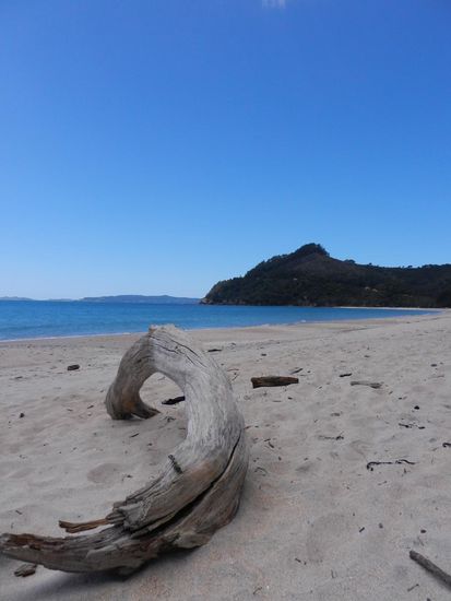 Ein paar Kilometer weiter ein anderer Strand...und so ging's die ganze Ostseite von Coromandel weiter!